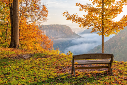 A wooden bench overlooks a misty valley surrounded by vibrant autumn foliage and trees.