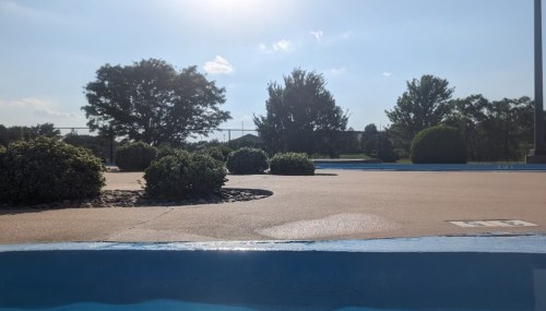 A sunny outdoor scene featuring a poolside view with shrubs and trees in the background.
