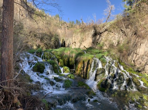 A serene waterfall cascades over moss-covered rocks, surrounded by lush greenery and a clear blue sky.