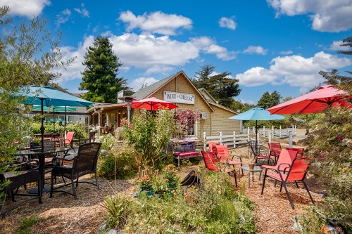 A charming outdoor seating area with colorful umbrellas and plants, in front of a cozy building under a blue sky.