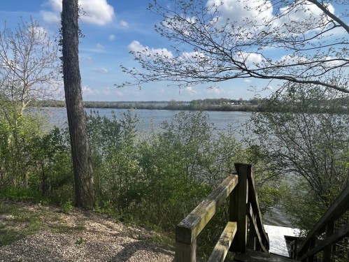 A serene view of a river surrounded by greenery and trees, with a wooden staircase leading down to the water.