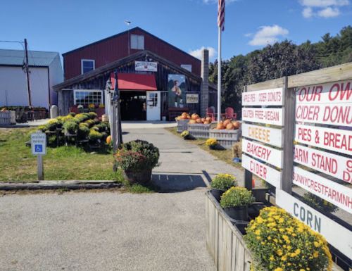 A rustic farm stand with a red barn, pumpkins, and flowers, featuring signs for pies, cider, and baked goods.