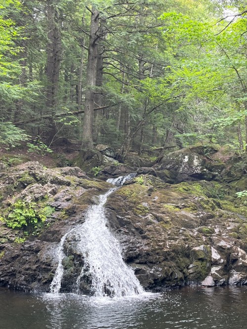 A serene waterfall cascades over rocky terrain, surrounded by lush green trees in a tranquil forest setting.