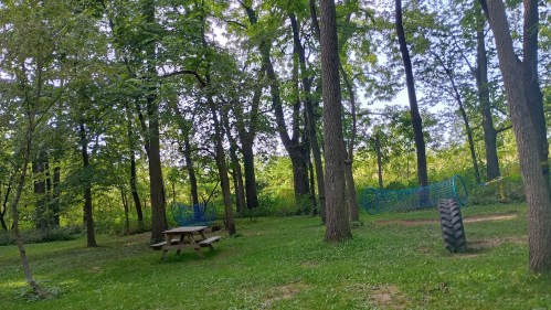 A serene park scene with a picnic table, trees, and a tire in a grassy area, surrounded by lush greenery.
