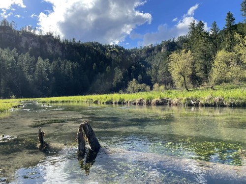 A serene river scene with clear water, green grass, and trees under a blue sky with fluffy clouds.