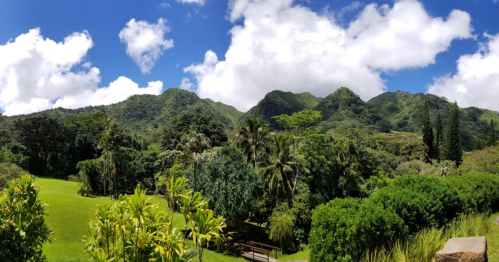 Lush green mountains under a bright blue sky with fluffy clouds, surrounded by tropical vegetation.