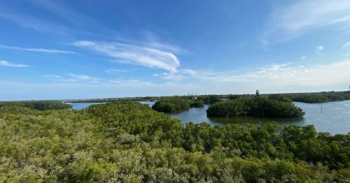 Weedon Island Preserve on a beautiful sunny day with a clear blue sky