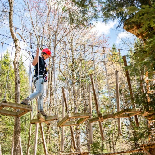 A person in a harness walks across a wooden rope bridge in a forested area, surrounded by trees and blue sky.
