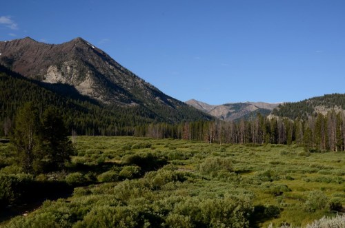 A scenic view of mountains and a lush green valley under a clear blue sky.