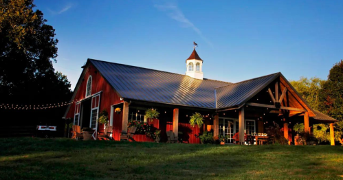 A charming red barn with a metal roof, surrounded by greenery and string lights, under a clear blue sky.