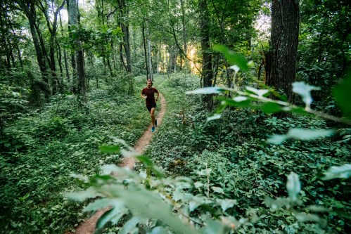 A person running on a dirt path through a lush green forest, surrounded by trees and foliage.