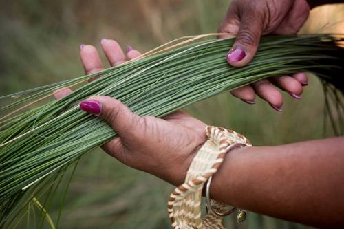 A close-up of hands holding green grass strands, with a woven bracelet visible on one wrist.