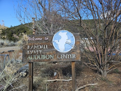 Wooden sign for Randall Davey Audubon Center, featuring a bird silhouette, surrounded by natural scenery.