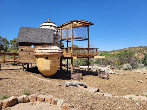 A unique wooden playground structure resembling an acorn, with a slide and swings, set in a natural outdoor environment.
