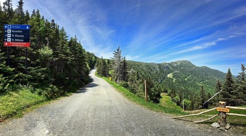 A scenic dirt road leads through lush trees, with mountain views and directional signs for nearby trails.
