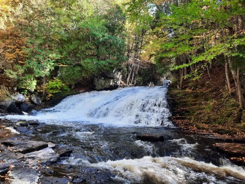 A serene waterfall cascades over rocks, surrounded by vibrant autumn foliage and lush green trees.