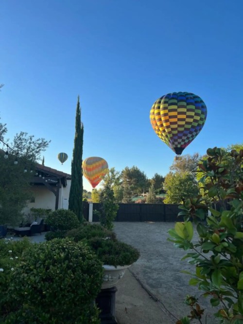 Colorful hot air balloons float in a clear blue sky above a garden with lush greenery and a cozy outdoor seating area.
