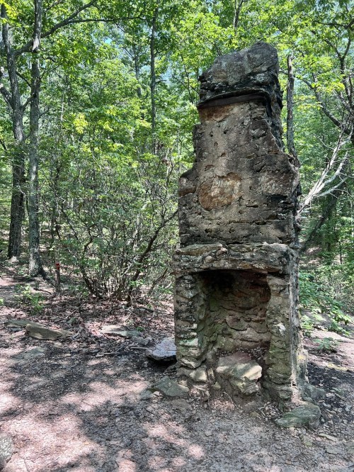 A weathered stone chimney stands among trees in a wooded area, remnants of a past structure.