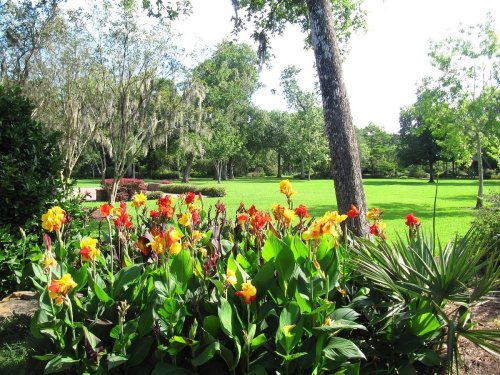 A vibrant garden filled with orange and yellow flowers, surrounded by lush green grass and trees under a clear sky.