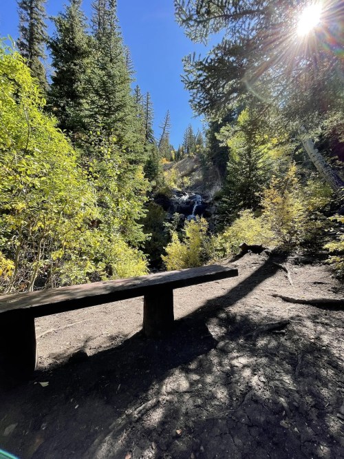 A wooden bench in a forested area, with a waterfall visible in the background and sunlight filtering through the trees.