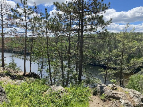 A serene landscape featuring a calm lake surrounded by lush greenery and tall pine trees under a blue sky.