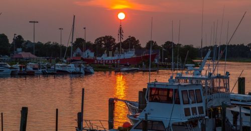Boats in the harbor in Lewes, Delaware