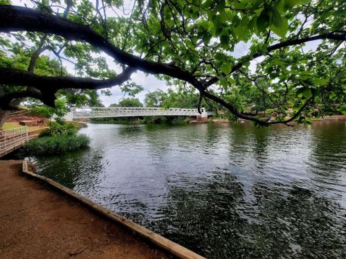A serene view of a river with a white pedestrian bridge, surrounded by lush green trees and a peaceful shoreline.
