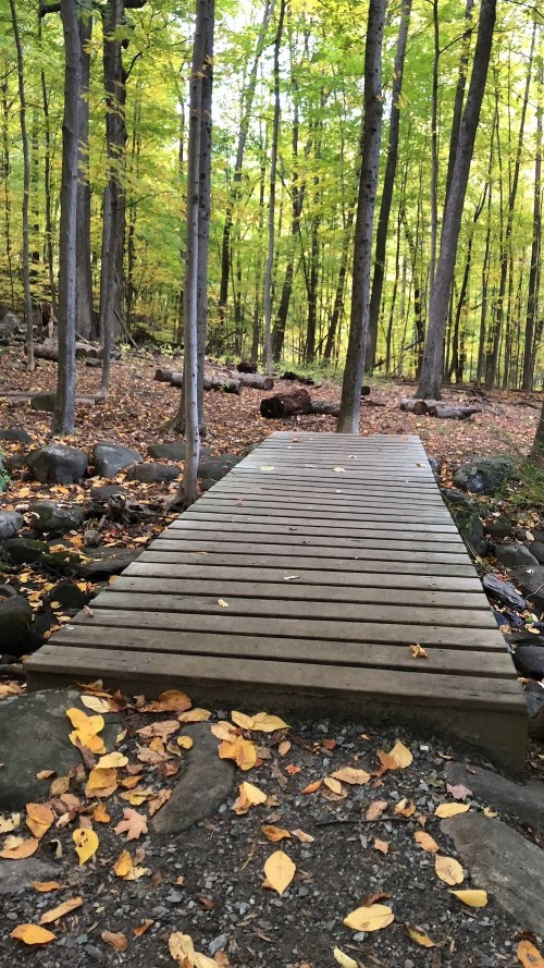 A wooden bridge crosses a rocky path in a forest with vibrant autumn leaves and tall trees.