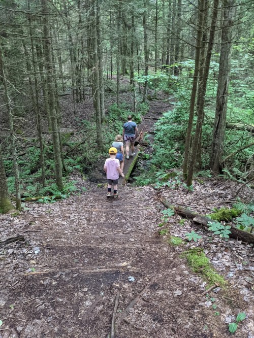 A person and a child walk down a forest trail, crossing a small wooden bridge surrounded by trees and greenery.