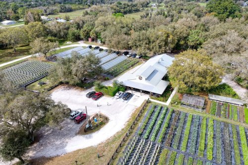 Aerial view of a farm with greenhouses, parked cars, and rows of crops surrounded by trees and open fields.