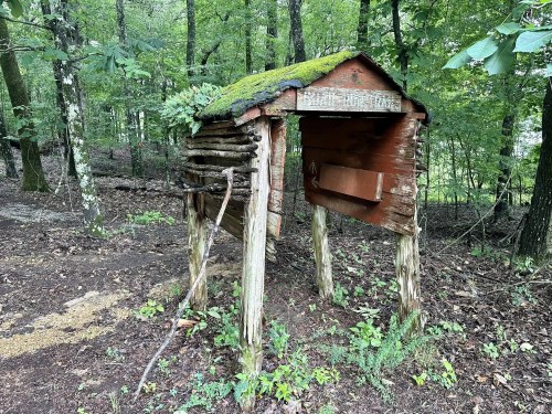 A rustic wooden mailbox with a moss-covered roof, surrounded by trees in a forested area.