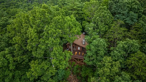 Aerial view of a wooden cabin nestled among lush green trees in a dense forest.