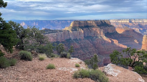 A scenic view of the Grand Canyon, showcasing layered rock formations and lush greenery in the foreground.