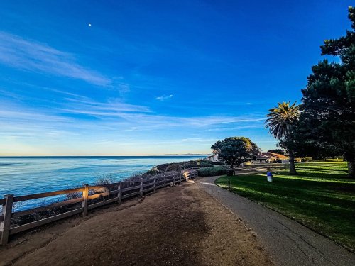 A scenic coastal path with palm trees, lush grass, and calm waters under a clear blue sky.