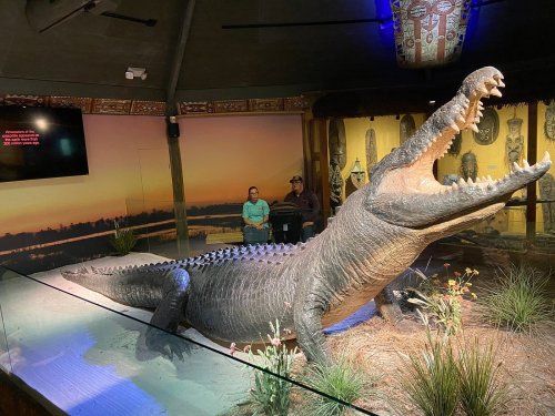 A large crocodile exhibit in a museum, with two people seated nearby and a scenic backdrop.