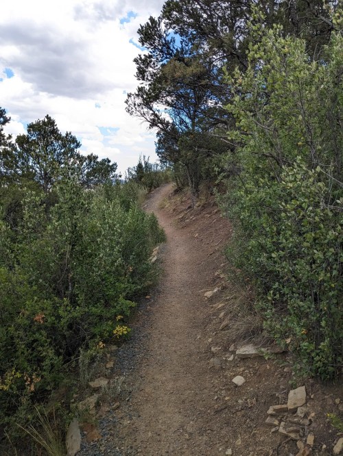 A narrow dirt trail winds through lush greenery under a partly cloudy sky.