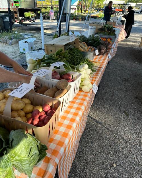 A farmer's market table displays various fresh vegetables in baskets, with a checkered tablecloth and people in the background.