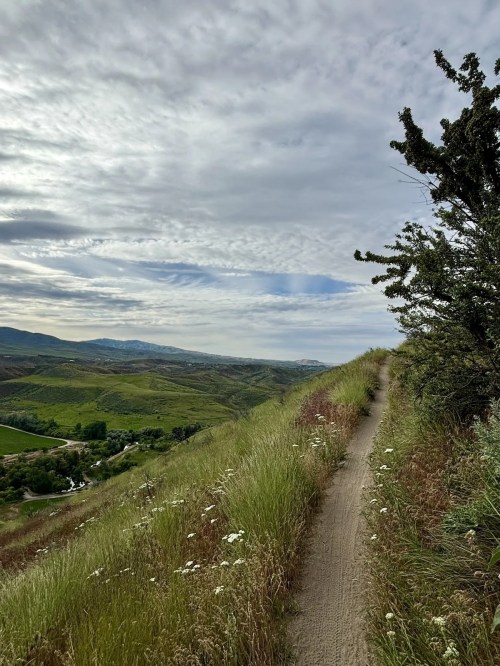 A winding dirt path through tall grass, with rolling hills and a cloudy sky in the background.