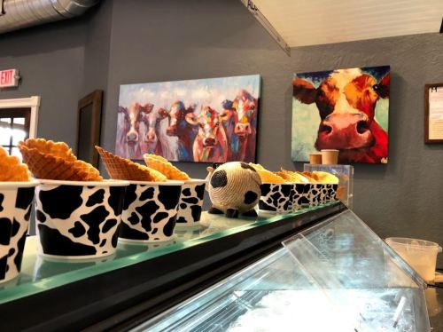 A display of ice cream cones and cups with cow patterns, alongside colorful cow paintings on the wall.