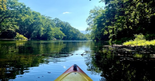 A kayak view on a calm river surrounded by lush green trees under a clear blue sky.