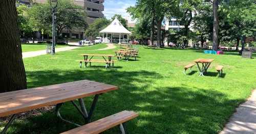 A sunny park with green grass, picnic tables, and a gazebo in the background. Trees line the area.
