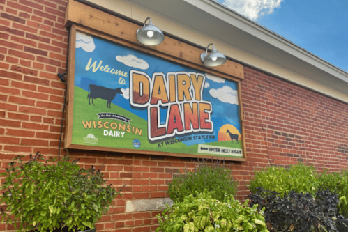 Sign for Dairy Lane at the Wisconsin State Fair, featuring a cow and colorful graphics against a brick wall.