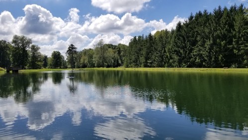 A serene lake reflecting clouds and trees, surrounded by lush greenery under a bright blue sky.