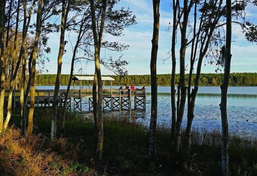 A serene lakeside scene with a wooden dock surrounded by trees and calm water under a clear blue sky.
