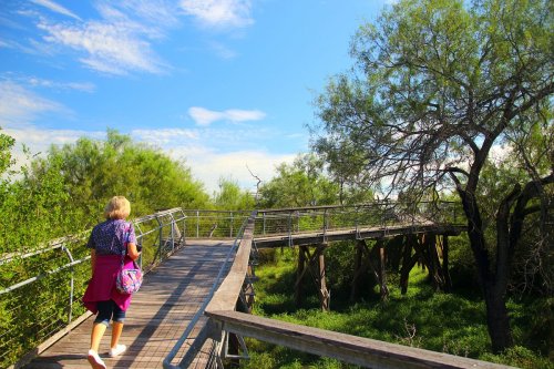 A woman walks along a wooden boardwalk surrounded by lush greenery and blue skies.