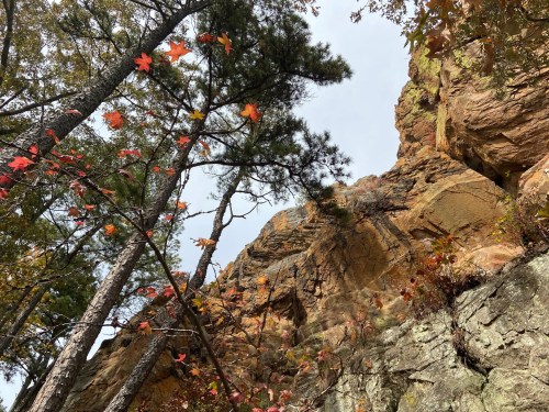 A rocky cliff surrounded by trees with autumn leaves, under a cloudy sky.