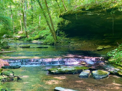 A serene forest scene with a clear stream flowing over rocks, surrounded by lush green trees and a rocky overhang.