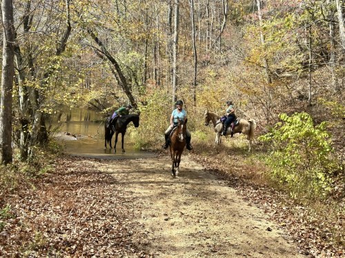 Three riders on horseback near a calm stream, surrounded by autumn foliage in a wooded area.