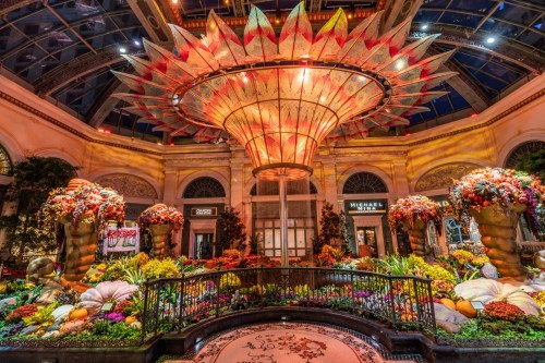 A vibrant floral display featuring large, colorful arrangements and a striking chandelier in a grand indoor space.