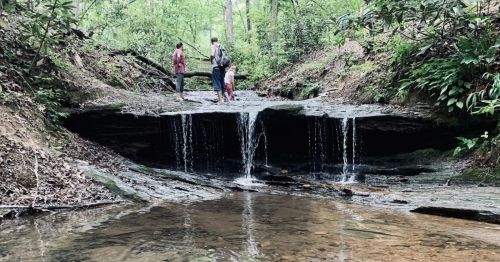 Three people stand near a small waterfall in a lush, green forest, with water flowing over rocks into a calm stream.